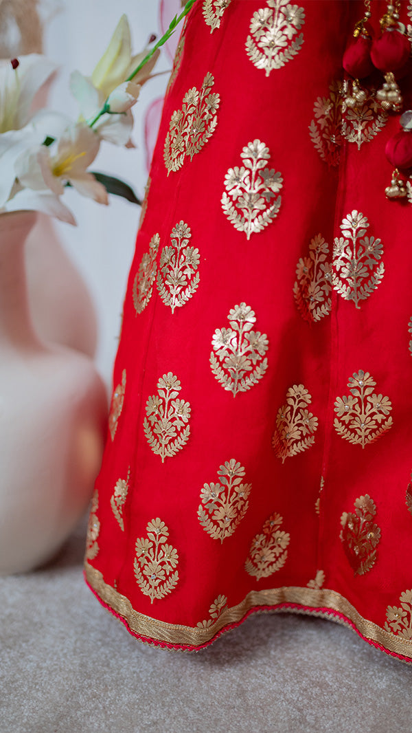 Rosy Sparkles lehnga choli (3pc-Stitched)