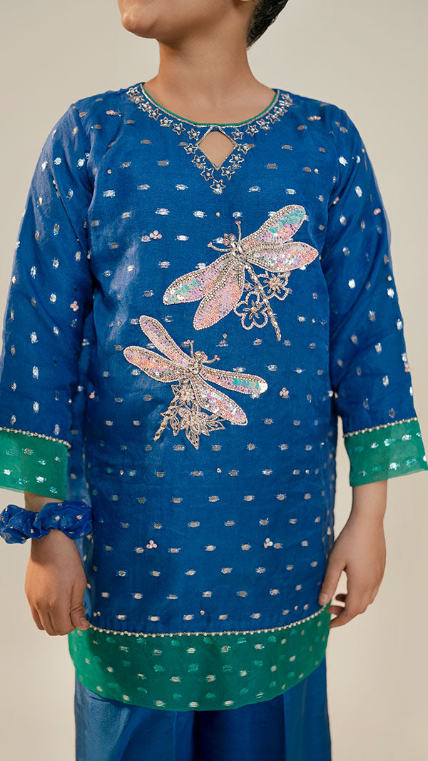 Dragonfly Dazzle (2pc-Stitched)